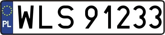 WLS91233