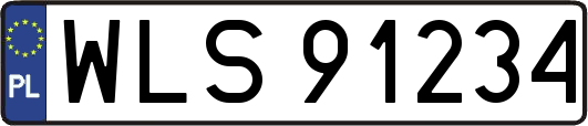 WLS91234