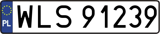 WLS91239