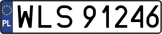 WLS91246