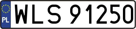 WLS91250