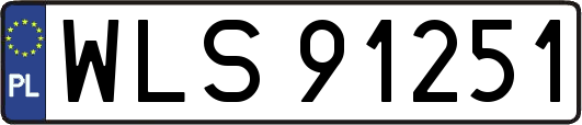 WLS91251