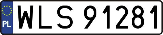 WLS91281