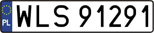 WLS91291