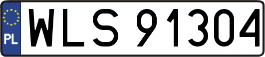 WLS91304