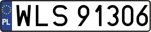 WLS91306