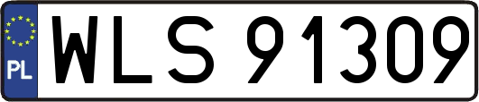 WLS91309