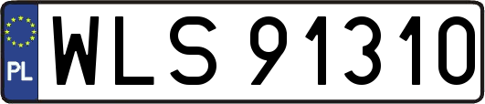 WLS91310