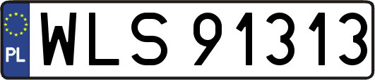 WLS91313