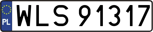 WLS91317