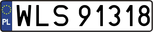 WLS91318