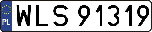 WLS91319