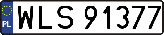 WLS91377