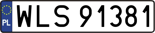 WLS91381