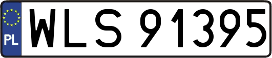 WLS91395