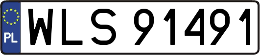 WLS91491