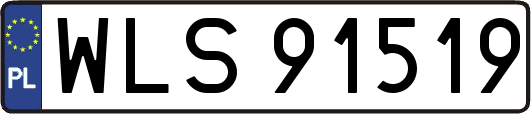 WLS91519