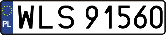 WLS91560