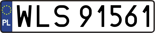 WLS91561