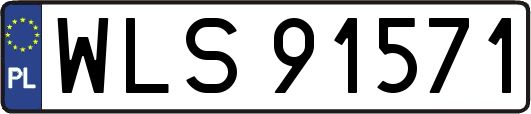 WLS91571