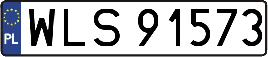 WLS91573