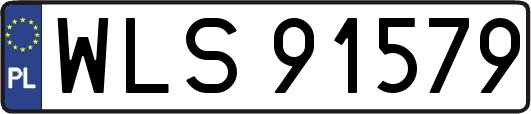 WLS91579