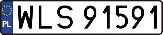 WLS91591