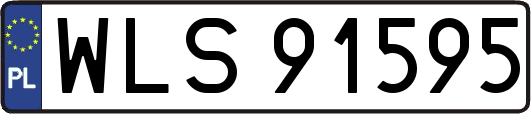 WLS91595