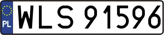 WLS91596