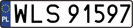 WLS91597