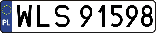 WLS91598