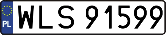 WLS91599