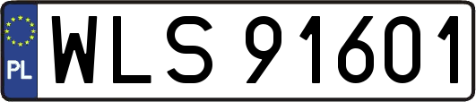 WLS91601