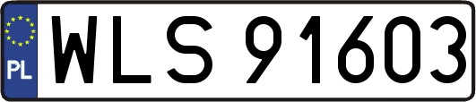 WLS91603