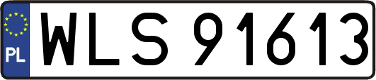 WLS91613