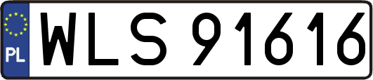 WLS91616