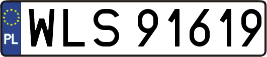 WLS91619