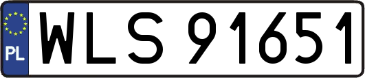 WLS91651