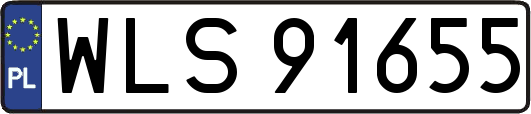WLS91655