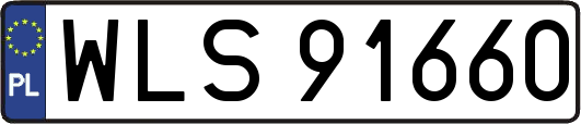 WLS91660
