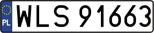 WLS91663