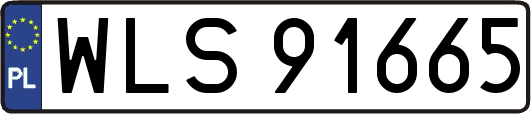 WLS91665