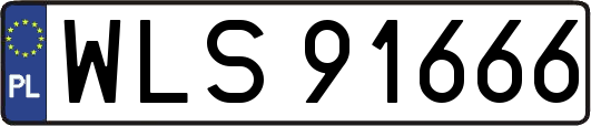 WLS91666