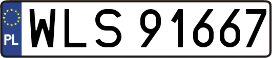 WLS91667