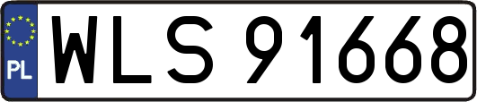 WLS91668