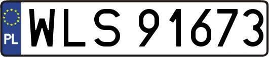 WLS91673