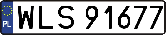 WLS91677