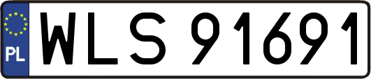 WLS91691
