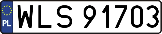 WLS91703