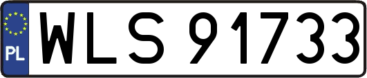 WLS91733